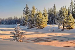 солнечные вечера зимы... / Иркутская область Казачинско-Ленский район