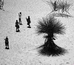 другие миры / выставка на побережье