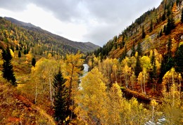 река Кумир / Осень на реке Кумир .Небольшая, но с буйным характером река Кумир является левым притоком Чарыша. 
Находится в Усть-Канском районе Республики Алтай.
