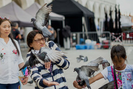 Венеция"Голубиная любовь" / площадь голуби туристы