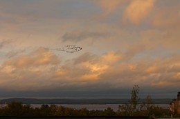 Скоро рассвет, выход есть / Утки перед рассветом тренируются: им пора улетать в тёплые края