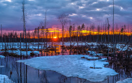 Весна наступает, или закат на болоте. / Север Ленинградской области.