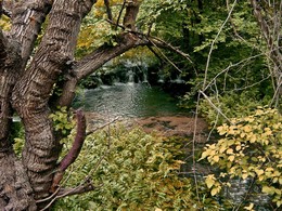 &nbsp; / Болгарская природа