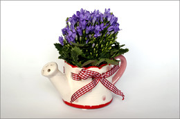  / Натюрморт