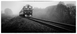 Пригородный / Поезд Гродно - Барановичи. Снято возле Слонима.