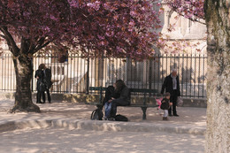 Весна в Париже / Доработка фото 2014 г.