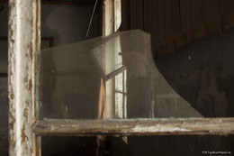 Сквозь стекло / Московская область. Монинский район.