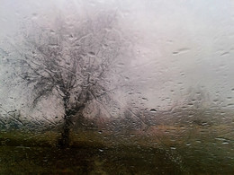 Сквозь стекло / У природы нет плохой погоды...
Мобильное фото.