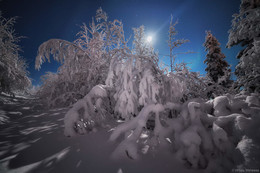 Тихая ночь / Тихой морозной ночью в лесах Кольского полуострова