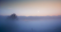 Туманный минимализм / Зимние туманы.