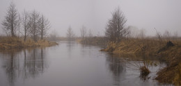 Весенний туман / Природа Беларуси