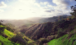 Hollywood hills. / ***