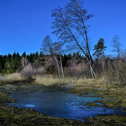 весна / vesna