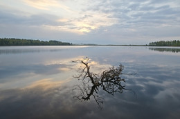 Озеро Ласковое / Россия. Рязанская область. Озеро Ласковое.