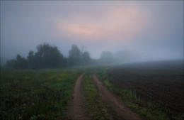 Туман / Природа Беларуси