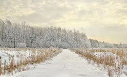 Снег на дороге / Дорога, идущая рядом с озером, наступает зимой