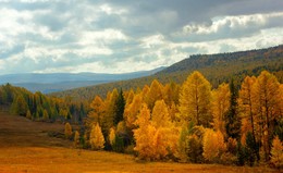 золото осени / Есть в осени первоначальной
Короткая, но дивная пора —
Весь день стоит как бы хрустальный,
И лучезарны вечера...