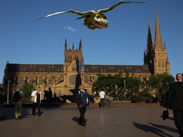 нашествие / а у нас в Сиднее драконы в небе!