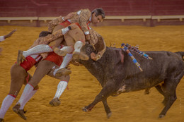 Не впервой / тоурада, Португалия