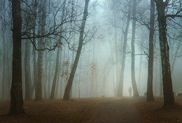 / Прогулка во мгле... / / Подмосковье