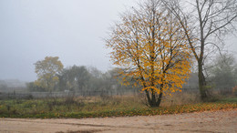 унылая осень / октябрь, деревня. туман