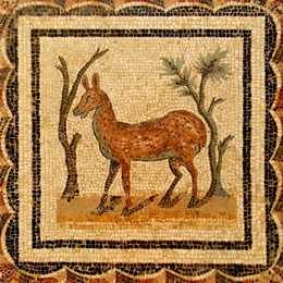 Думы о квадрате / Музей Бардо – музей мозаики в Тунисе