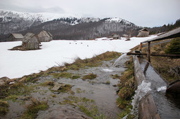 Ранняя весна в высокогорьях Карпат / Карпаты. Полонына на склонах Свидовца.