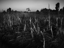 Церковь за болотом в Спасе у Присек летом 2016 / Церковь за болотом в Спасе у Присек летом 2016