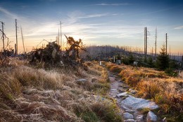 Sonnenaufgang im Plöckensteiner Wald / Die Aufnahme entstand während einer Foto-Wanderung vom Dreisessel zum Plöckenstein.