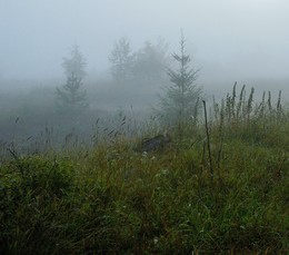 &quot;Синий туман - похож на обман ...&quot; / Утро ...