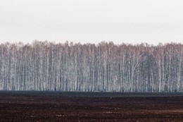 Весенний лес или вспахана земля / Челябинская обл . трасса М5