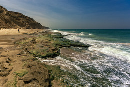 Утро...море... / Прогулка по берегу моря