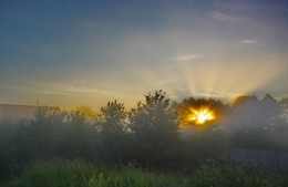 Рассвет / Раннее утро, туман