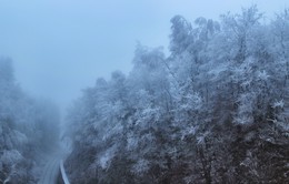 Узкоколейка в густом тумане / Сильный мороз (-12°) и туман