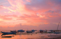 Розовое утро / Южное утро на берегу океана