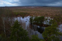 заповедное болото / Заповедник Тейчи (Teicu dabas rezervats) в Латвии, расположен в Латгале, близ города Варакляны.
