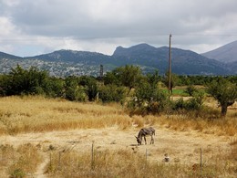 Греция. Плато Лассити / Больше фото по ссылке: http://steklo-foto.ru/photogellary