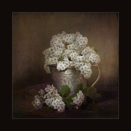 белые цветы / Digital art