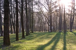 Парк. / Место для вдохновения.