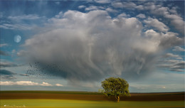Прикосновение. / Небольшой фотоарт, на тему очень странного облака, которое повстречалось мне в полях.