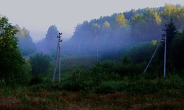 Раннее утро ... / Первые лучи солнца коснулись верхушек деревьев, но в низовьях еще нежился туман ...