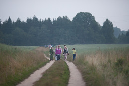 К святому колодчику / Иринарховский крестный ход 2016.