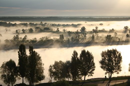 Мохнатый туман / Берег реки Припять.