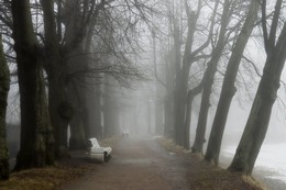 В лёгком тумане...... / Петергоф. Красный пруд. Апрель