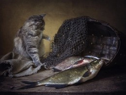 Ни фига себе, сколько рыбы! / рыбный натюрморт с кошкой Масяней