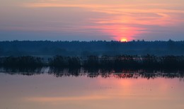 Весенний рассвет в Полесье / ***