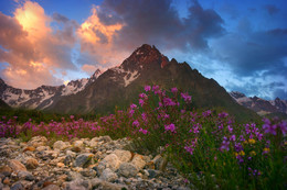 Про горный вереск и рассвет / Рассвет около горы Тихтинген, КБР