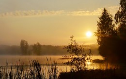 Утреннее...... / Осиновая Роща