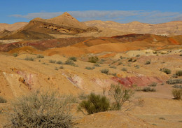 Цветные пески / Цветные пески находятся на юге Израиля,в пустыне Негев. Песок, обогащенный железом окрасил песок в желтый и оранжевый цвет. Марганец окрасил песок в розовые и фиолетовые тона, медь добавила зелёного.