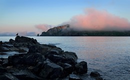 Сиреневый туман. / Утро на острове Рикорда, Приморье.